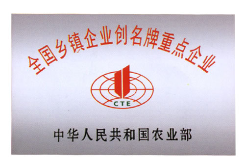 ****鄉(xiāng)鎮(zhèn)企業(yè)創(chuàng)**重點(diǎn)企業(yè)